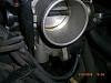 What is pictured here???-cimg0465.jpg