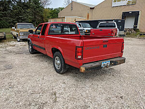 Fixing deer accident damage...I guess-o2fb6p3.jpg