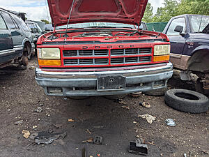 Fixing deer accident damage...I guess-tiqlvli.jpg