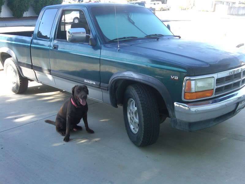 Name:  truckgrizz.jpg
Views: 44
Size:  59.4 KB