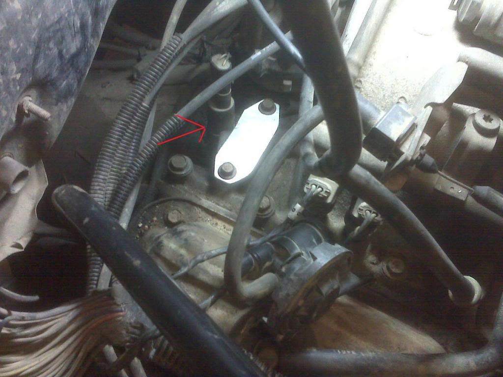 Name:  IMG00427b.jpg
Views: 86
Size:  84.1 KB