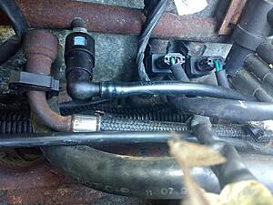 '93 Dakota V6 getting a '94 Dakota V8 engine - Build Thread-u3aqujoh.jpg