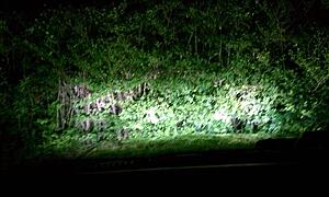 Help picking HID lights please-tj3kbl.jpg