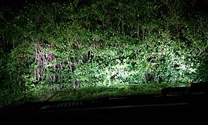 Help picking HID lights please-7t7qpl.jpg