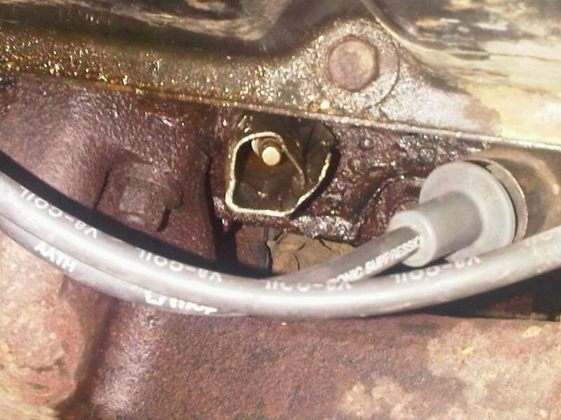 Name:  sparkplugshield.jpg
Views: 3144
Size:  70.2 KB