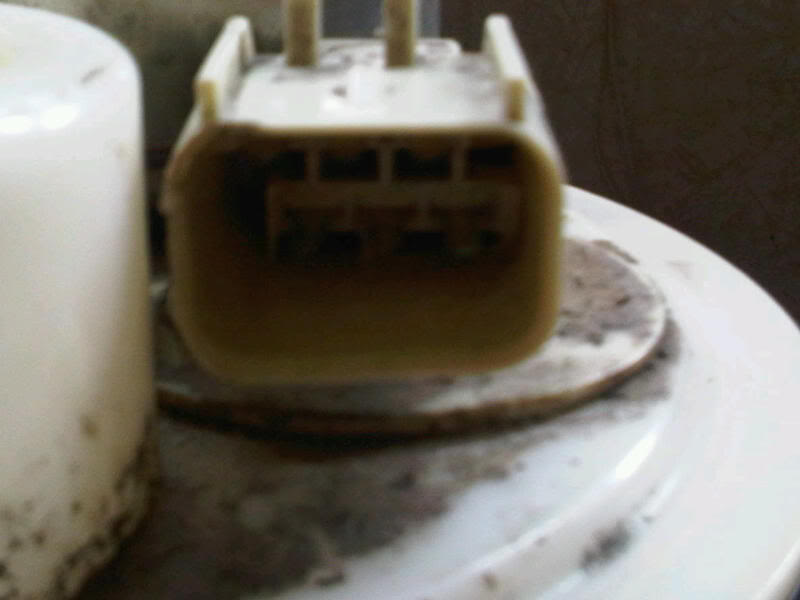 Name:  IMG00173-20100714-1650.jpg
Views: 1225
Size:  32.8 KB