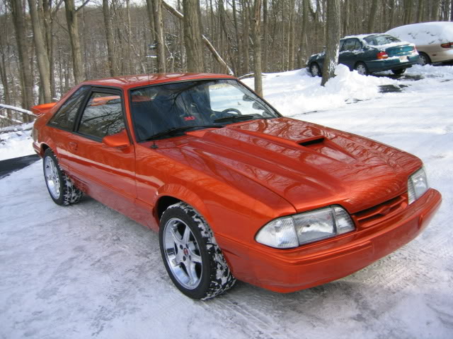 Name:  paintwork001.jpg
Views: 88
Size:  77.9 KB