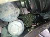 CV Joint?-greasy-front-driver2.jpg