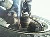 CV Joint?-greasy-front-driver6.jpg
