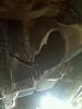 havin to rebuild whole front end-149103_449919197466_548972466_5672527_3957119_n.jpg