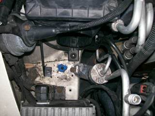 Name:  100_0953.jpg
Views: 61
Size:  18.7 KB