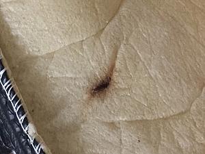 Fix your heated seats for free-durango-seat1.jpg