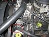Heat-img_0647.jpg