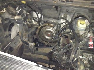 Name:  enginebay.jpg
Views: 395
Size:  19.6 KB