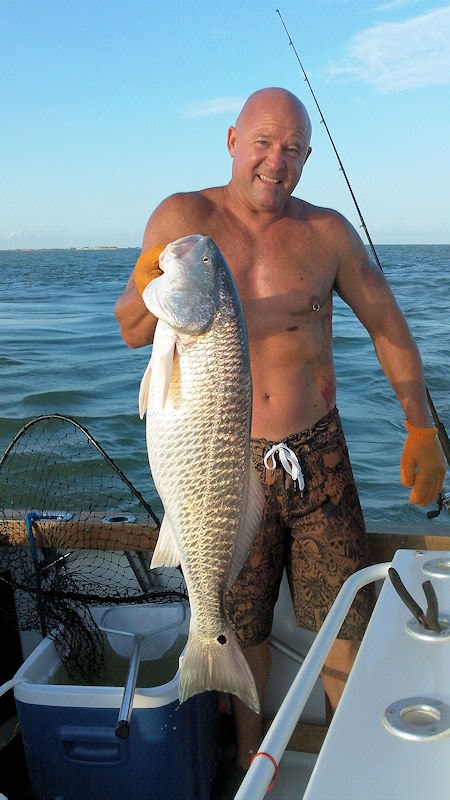 Name:  Bullred-2.jpg
Views: 45
Size:  74.9 KB