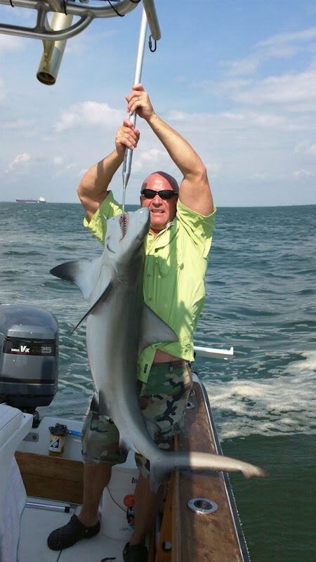 Name:  Markshark-2.jpg
Views: 45
Size:  63.5 KB