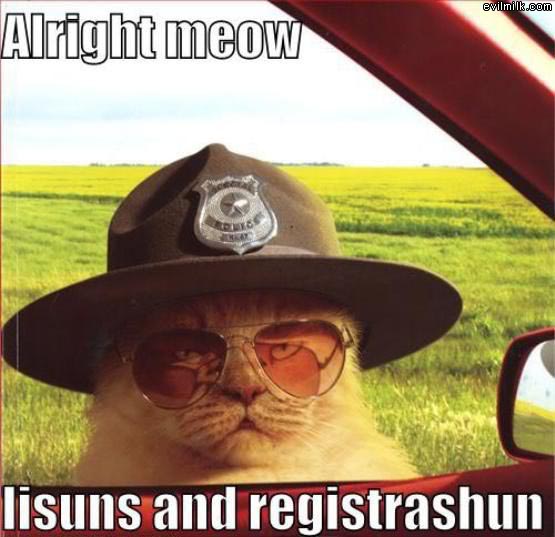 Name:  cat-cop.jpg
Views: 39
Size:  45.4 KB
