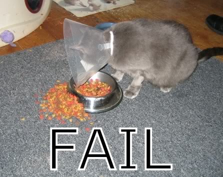 Name:  fail.jpg
Views: 84
Size:  50.0 KB