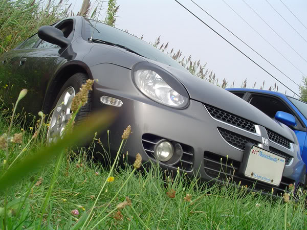 Name:  sxtt001_s.jpg
Views: 39
Size:  85.4 KB