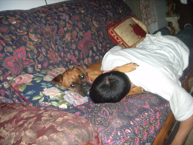 Name:  pics104-1.jpg
Views: 24
Size:  81.8 KB