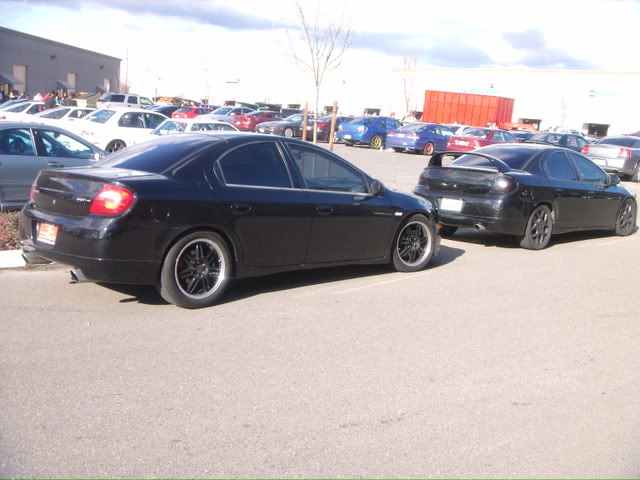 Name:  pics029-1.jpg
Views: 32
Size:  59.6 KB