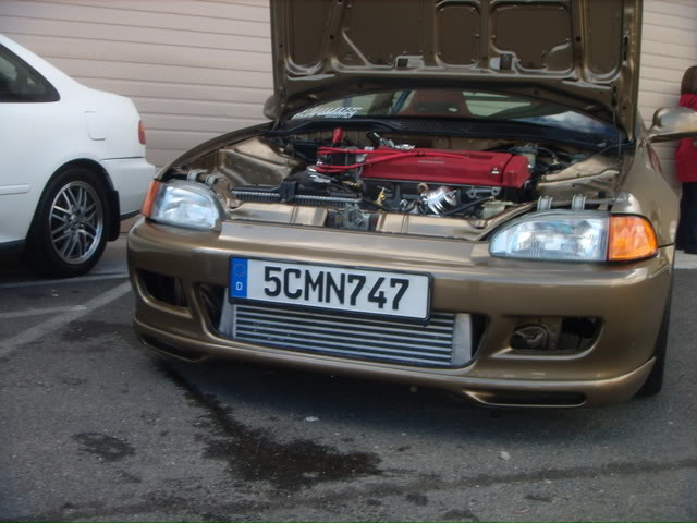 Name:  pics009.jpg
Views: 30
Size:  58.1 KB