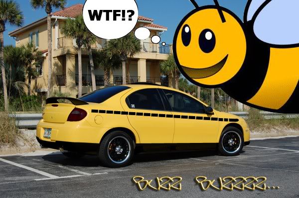 Name:  beecuda.jpg
Views: 19
Size:  59.5 KB