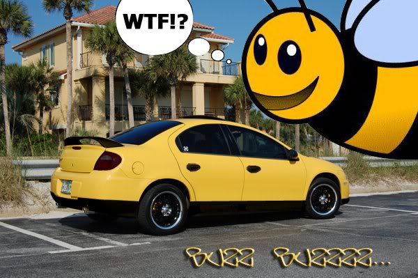 Name:  bee2copy.jpg
Views: 18
Size:  58.3 KB