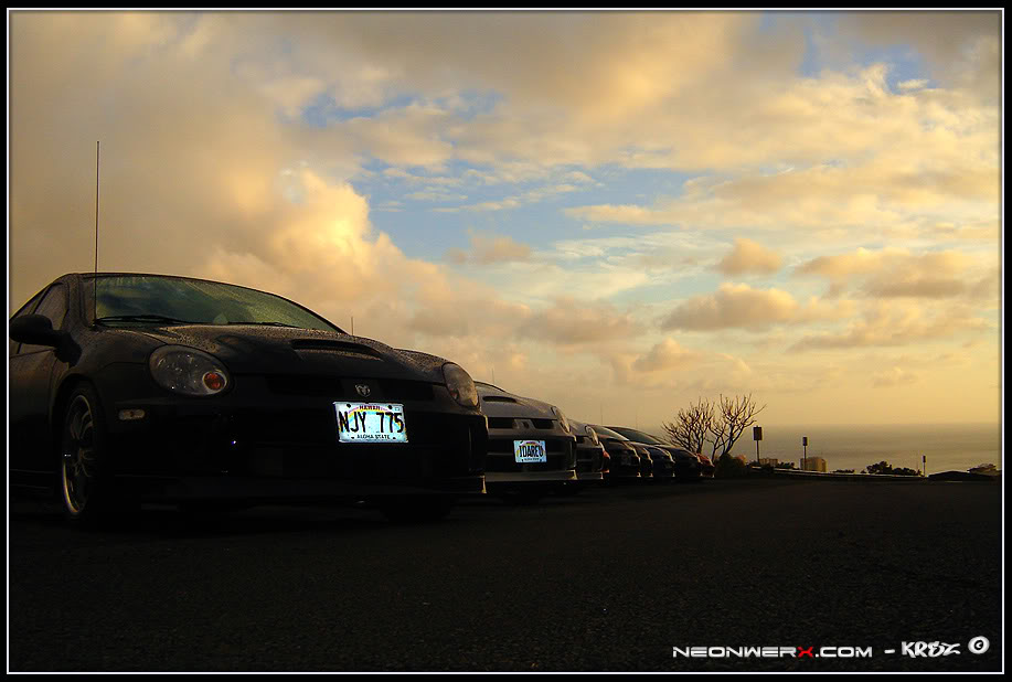 Name:  NW003.jpg
Views: 24
Size:  73.0 KB