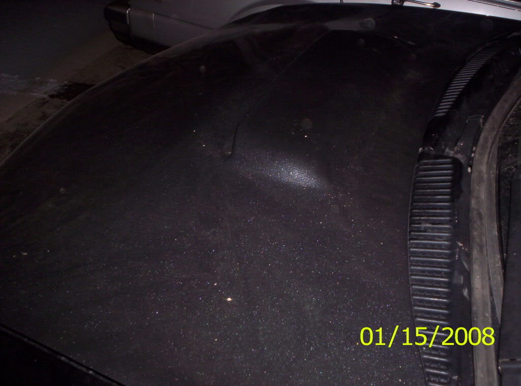 Name:  100_0778.jpg
Views: 30
Size:  82.6 KB