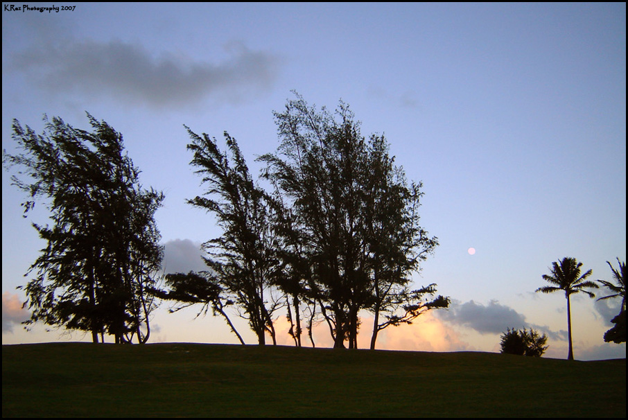 Name:  kailua03.jpg
Views: 11
Size:  237.9 KB