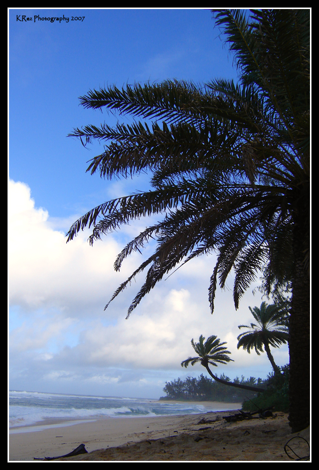Name:  003.jpg
Views: 33
Size:  583.6 KB