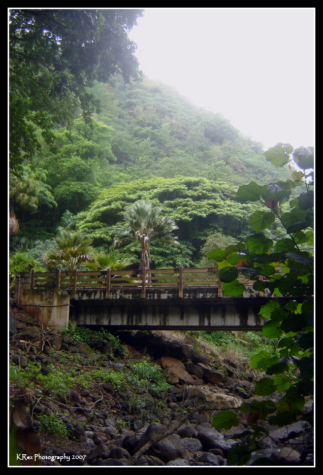 Name:  021.jpg
Views: 36
Size:  607.3 KB