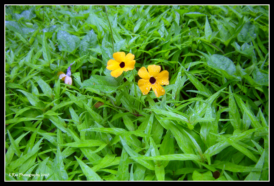 Name:  022.jpg
Views: 24
Size:  735.9 KB