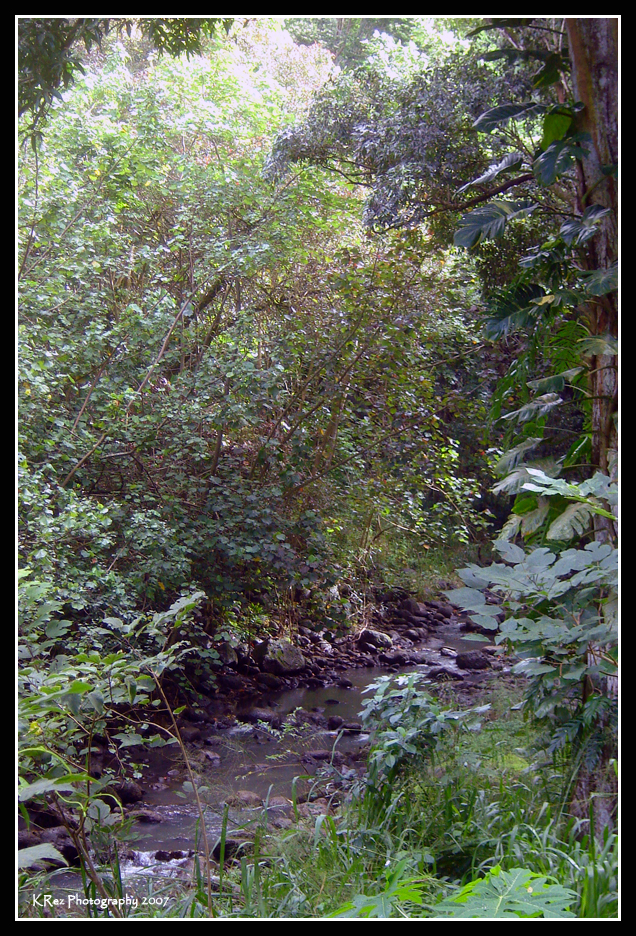 Name:  023.jpg
Views: 24
Size:  874.3 KB