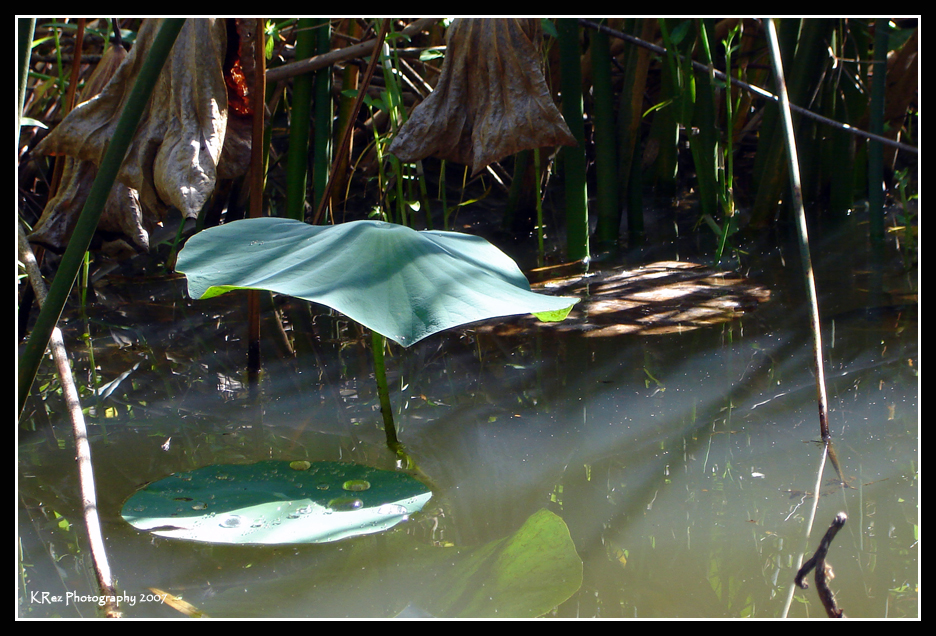 Name:  031.jpg
Views: 32
Size:  577.5 KB