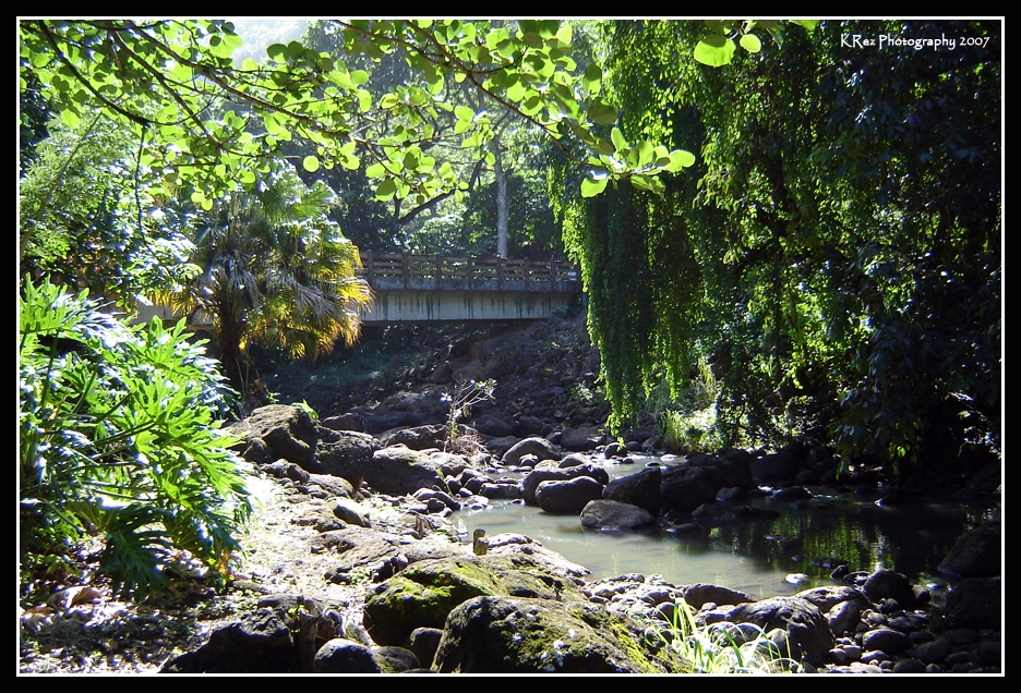 Name:  034.jpg
Views: 26
Size:  861.1 KB