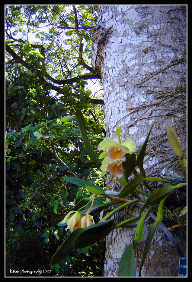 Name:  035.jpg
Views: 26
Size:  839.1 KB