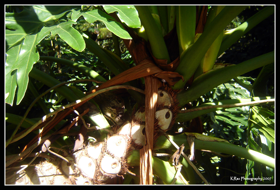 Name:  038.jpg
Views: 33
Size:  598.5 KB