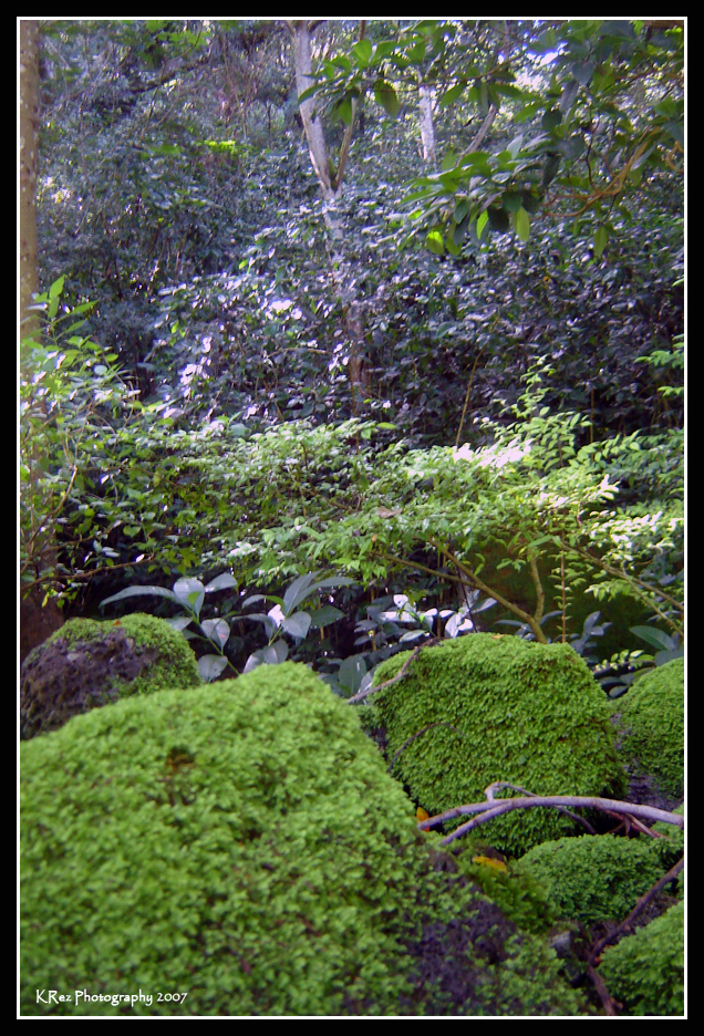 Name:  039.jpg
Views: 24
Size:  803.9 KB