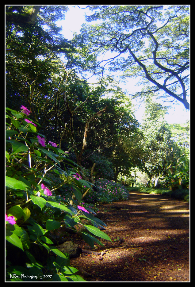 Name:  040.jpg
Views: 33
Size:  845.6 KB