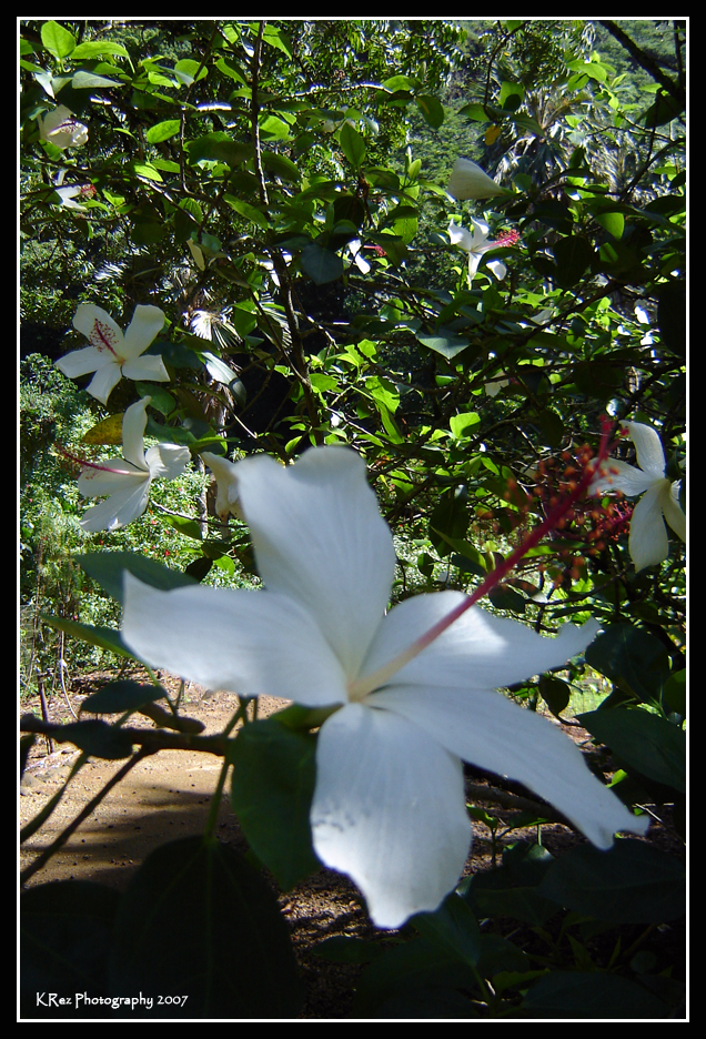 Name:  041.jpg
Views: 32
Size:  705.1 KB