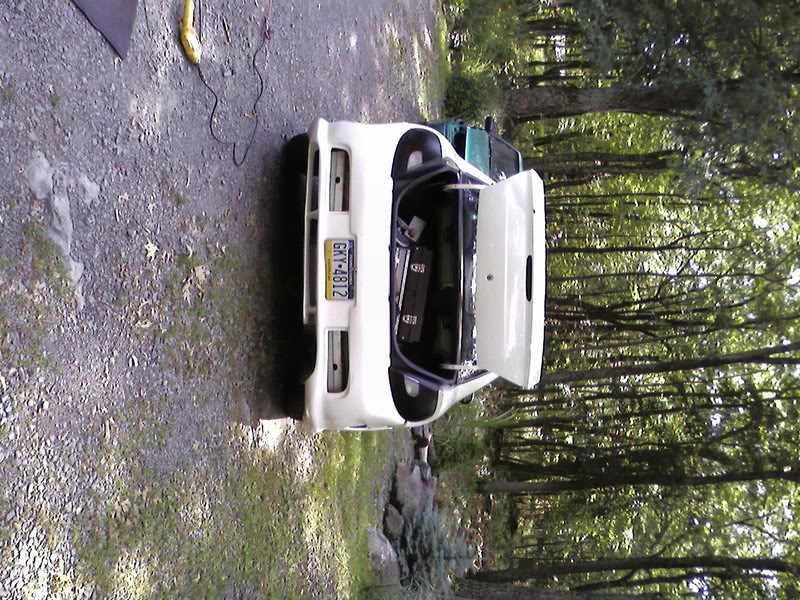 Name:  SSPX0251.jpg
Views: 28
Size:  170.0 KB