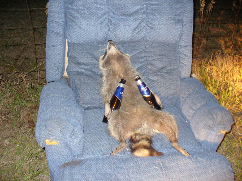 Name:  racoonandbeer.jpg
Views: 23
Size:  237.7 KB