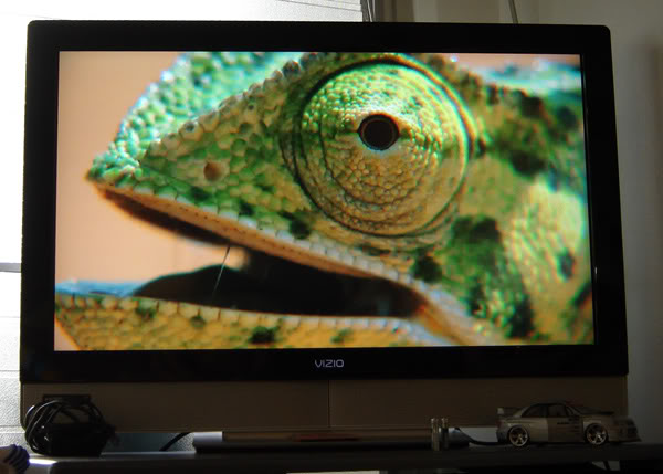 Name:  lizardspit.jpg
Views: 15
Size:  45.5 KB