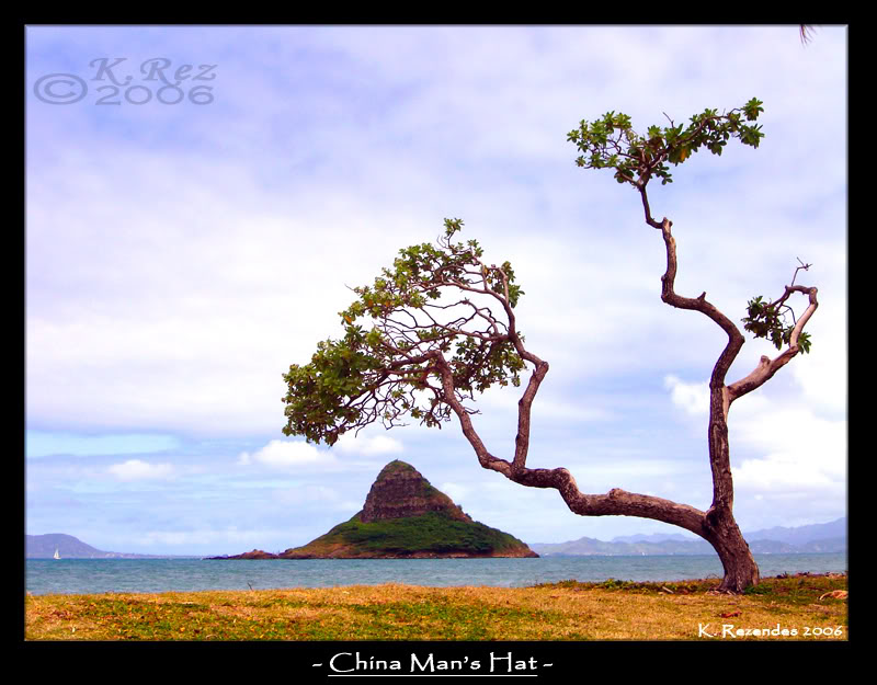 Name:  chinamans_hat.jpg
Views: 24
Size:  99.3 KB