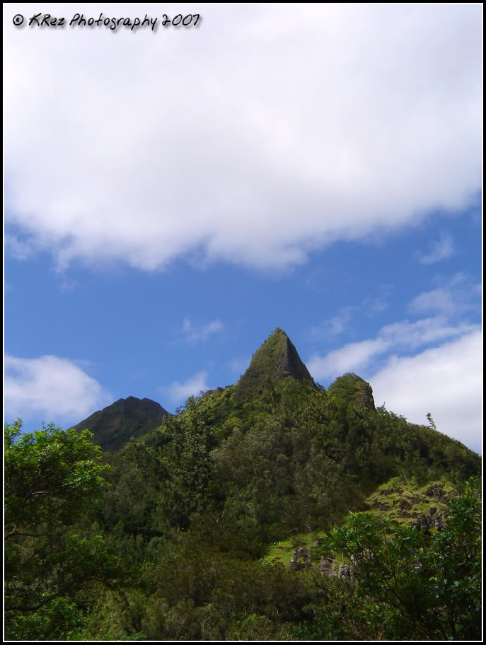 Name:  03.jpg
Views: 23
Size:  105.0 KB