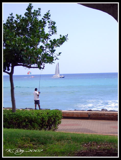 Name:  a7c5c797.jpg
Views: 23
Size:  78.9 KB