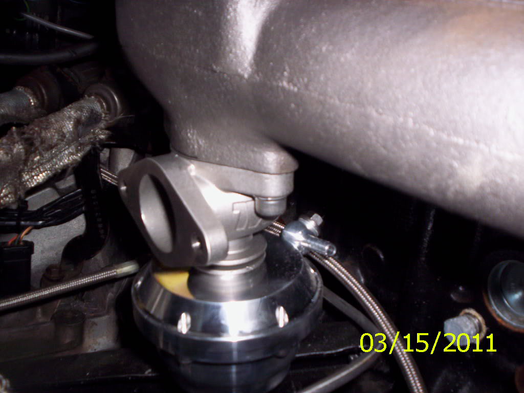Name:  000_0557.jpg
Views: 27
Size:  79.8 KB