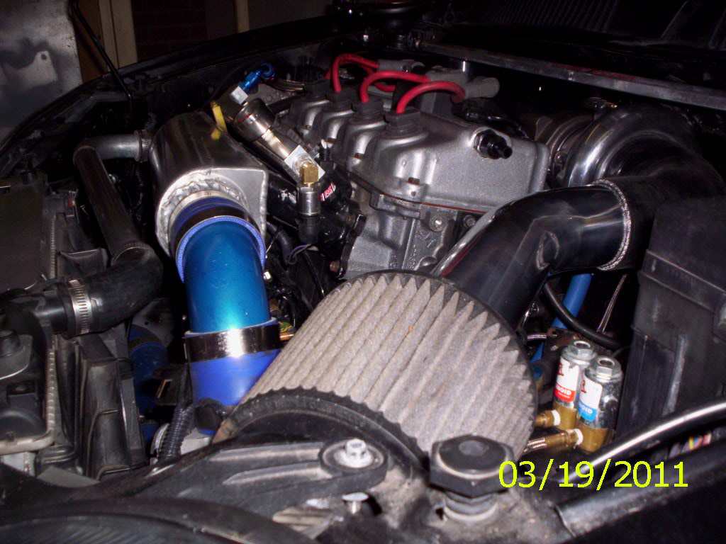 Name:  000_0565.jpg
Views: 29
Size:  117.1 KB